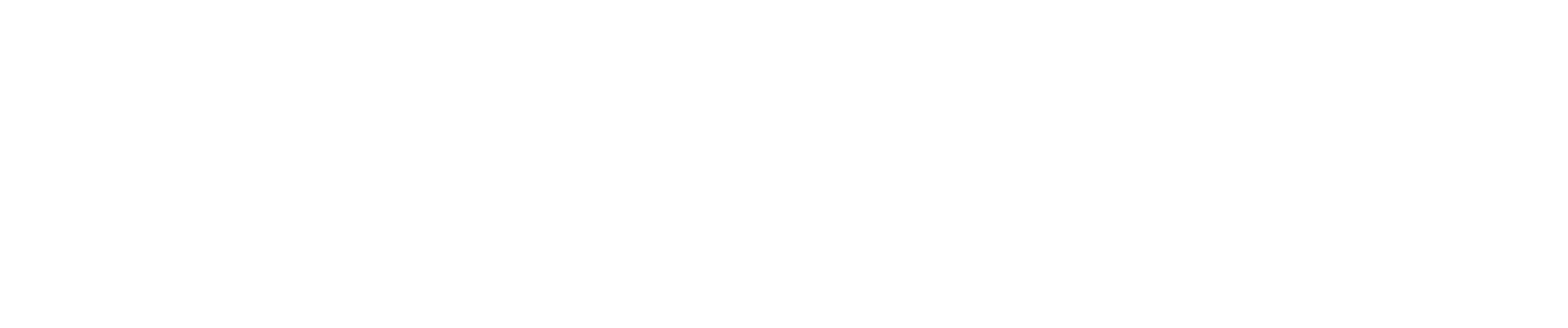 Paradigm Player Development Solutions
